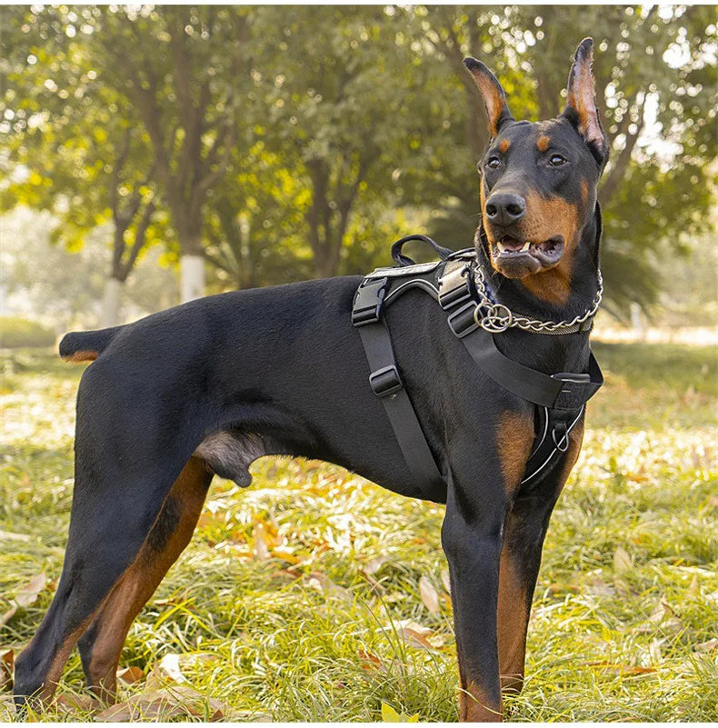 Anti-Pull Tactical Dog Harness with Night Reflective Strips, Heavy-Duty Nylon Military-Grade Vest-Style Leash for Large Dog