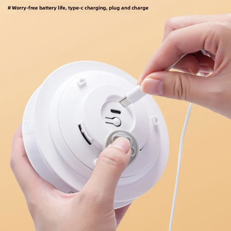 Interactive Cat Toy – Hide & Seek with Squeaky Mouse and Moving Feathers for Kittens