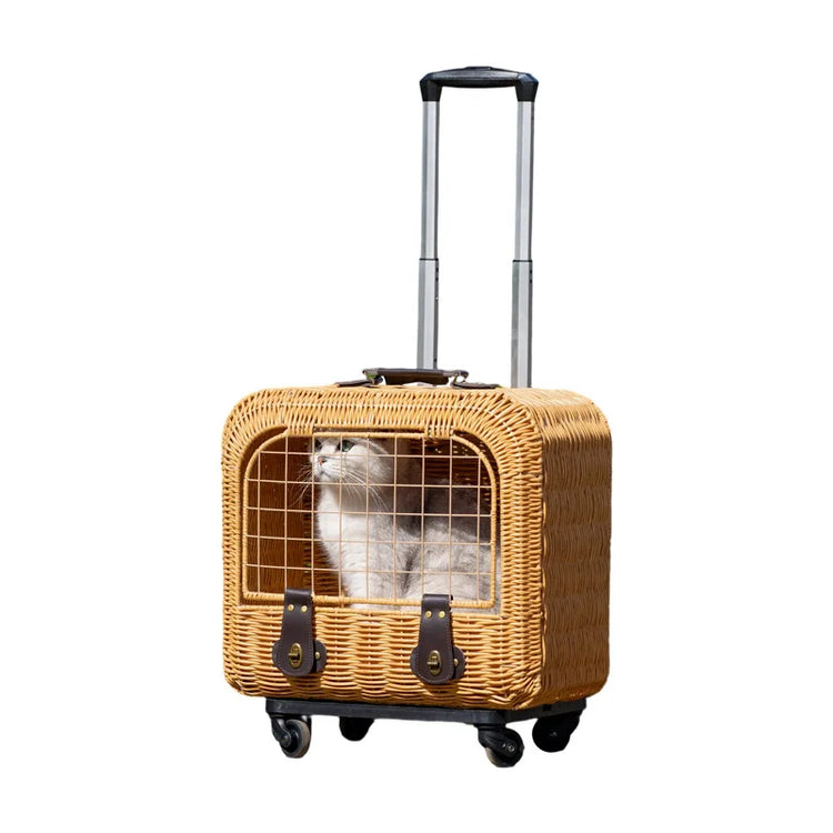 Pet Care
